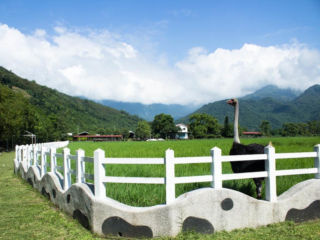 Lin Tea B&B Ruisui Ruang foto