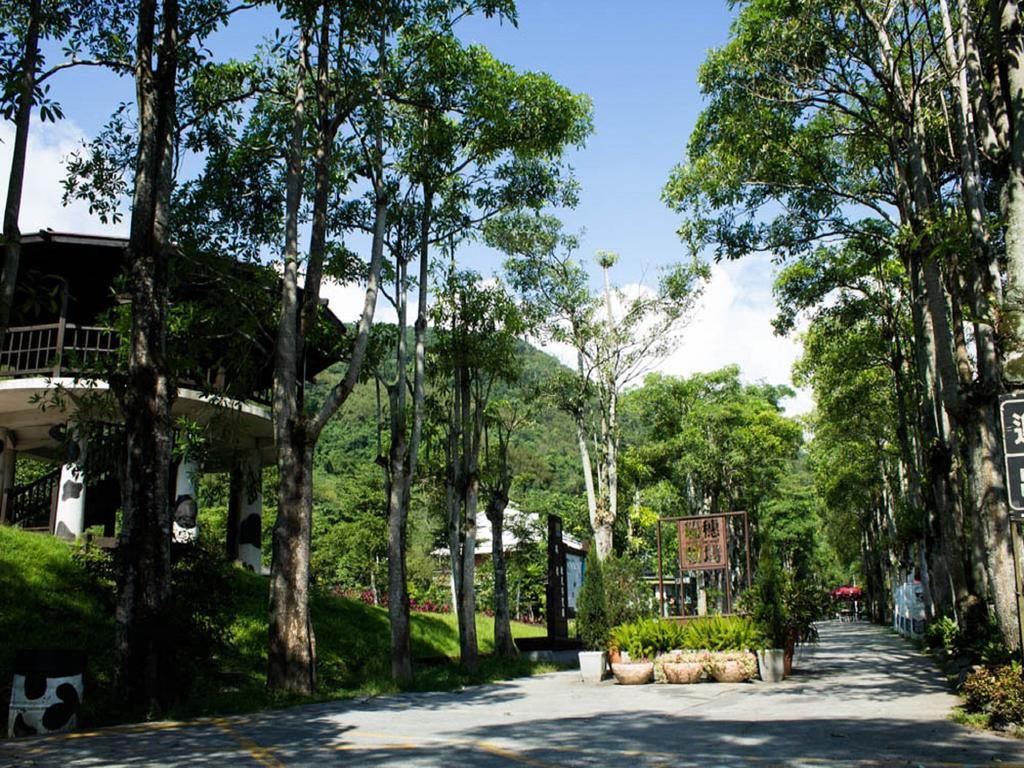 Lin Tea B&B Ruisui Ruang foto